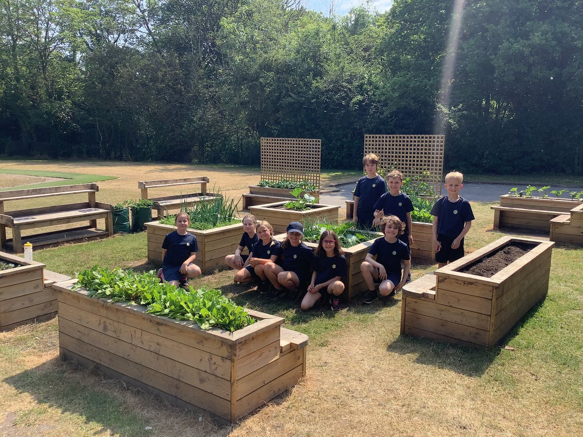 The children in the Department for Environment have been working so hard over the last few weeks to grow fruit and vegetables in our school garden. 🍓 🥬  They have spent many of their playtimes watering the plants and tidying up the garden!