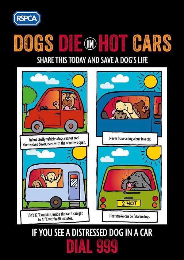 For information on what to do if you find a dog in a vehicle check the RSPCA (England & Wales) link provided.

rspca.org.uk/adviceandwelfa…
