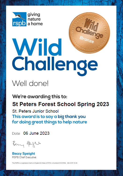StPetersRud's tweet image. So many awards today! A group from Forest School have completed the Bronze Wild Challenge Award (RSPB) and the school has received a &apos;Schools for Nature&apos; certificate and &apos;Green Trees Bronze Award&apos; (Woodland Trust). Lots to celebrate. #RSPB #RSPBWildChallenge #WoodlandTrust