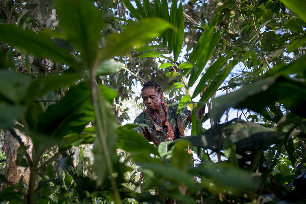 ForestPeoplesP's tweet photo. #EventInvitation

📢 How can we confront marginalization in #climate action and #conservation?

🗓️27 June, 4pm - 5.30pm GMT

📍 Joint event w/ @ChathamHouse

✍️Register for online participation or join in person

https://t.co/PrkJLtPb92

#ForPeopleAndNature https://t.co/gc9VKKv6qj