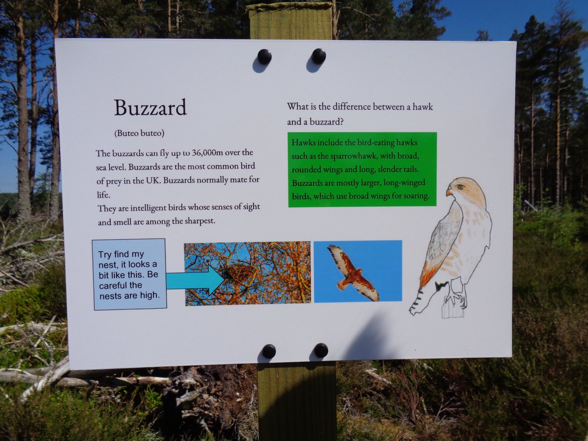 FarrPrimary's tweet photo. P6 proudly showcased their fantastic information boards for the Community Woodland today to raise awareness of native species in Scotland. This is a true example of leadership and partnerships with our local and wider community. #leadership #proudteacher
@nickygrant10 @hc_south https://t.co/BJ7j1lcFc6