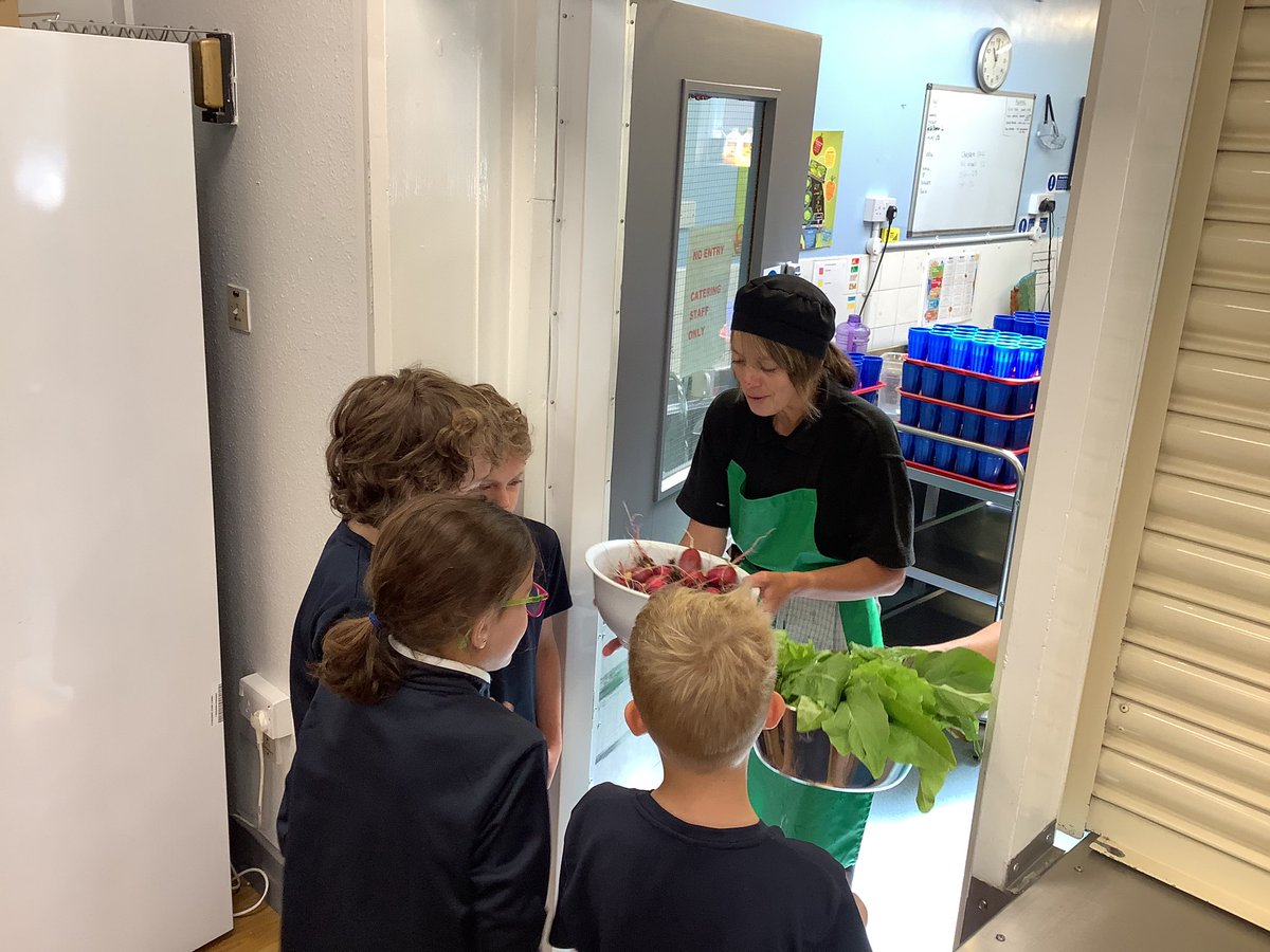 GorseyCommons's tweet photo. Over the last few days, we have harvested lettuce, radish and spinach from our school garden. We then delivered the produce to the school kitchen to go into the salad bar. We are excited to continue this Field to Fork relationship and provide more vegetables when they are ready! https://t.co/I5Ra7zbhGA