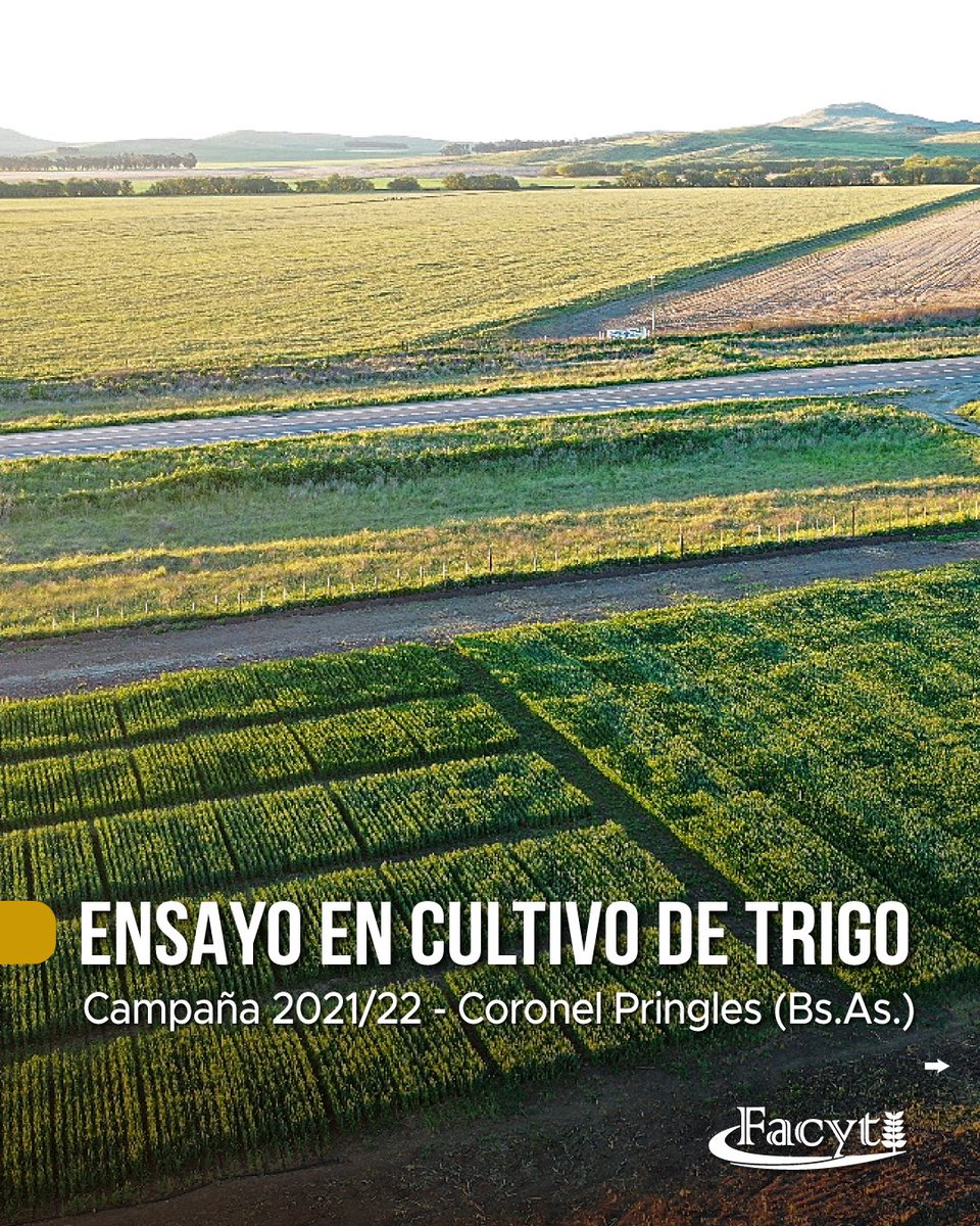 Facyt I+D S.A. - Agroproductos tweet media