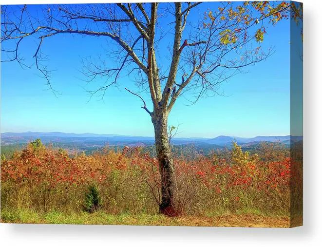 View From #Talimena #ScenicDrive Canvas Print #Oklahoma #autumn #fall #travel #landscape #photography #SALE-Use Code KCPCCG for 30% off my mark-up fee #prints for your #home or #office #decor #AYearForArt #BuyIntoArt 
View all print options here ---> buff.ly/463bDwh