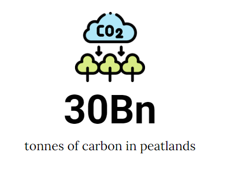 Greenpeaceafric's tweet photo. DRC's forests store up to 30 BILLION tonnes of carbon. These forests are sacred, and their protection is a moral duty. 

Let's defend our shared natural heritage! https://t.co/PefDf7bR1d