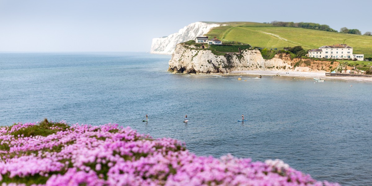 Anyone fancy stand up paddle boarding at 📍 Freshwater Bay on the Isle of Wight? #visitengland !

📸 : Getty Images