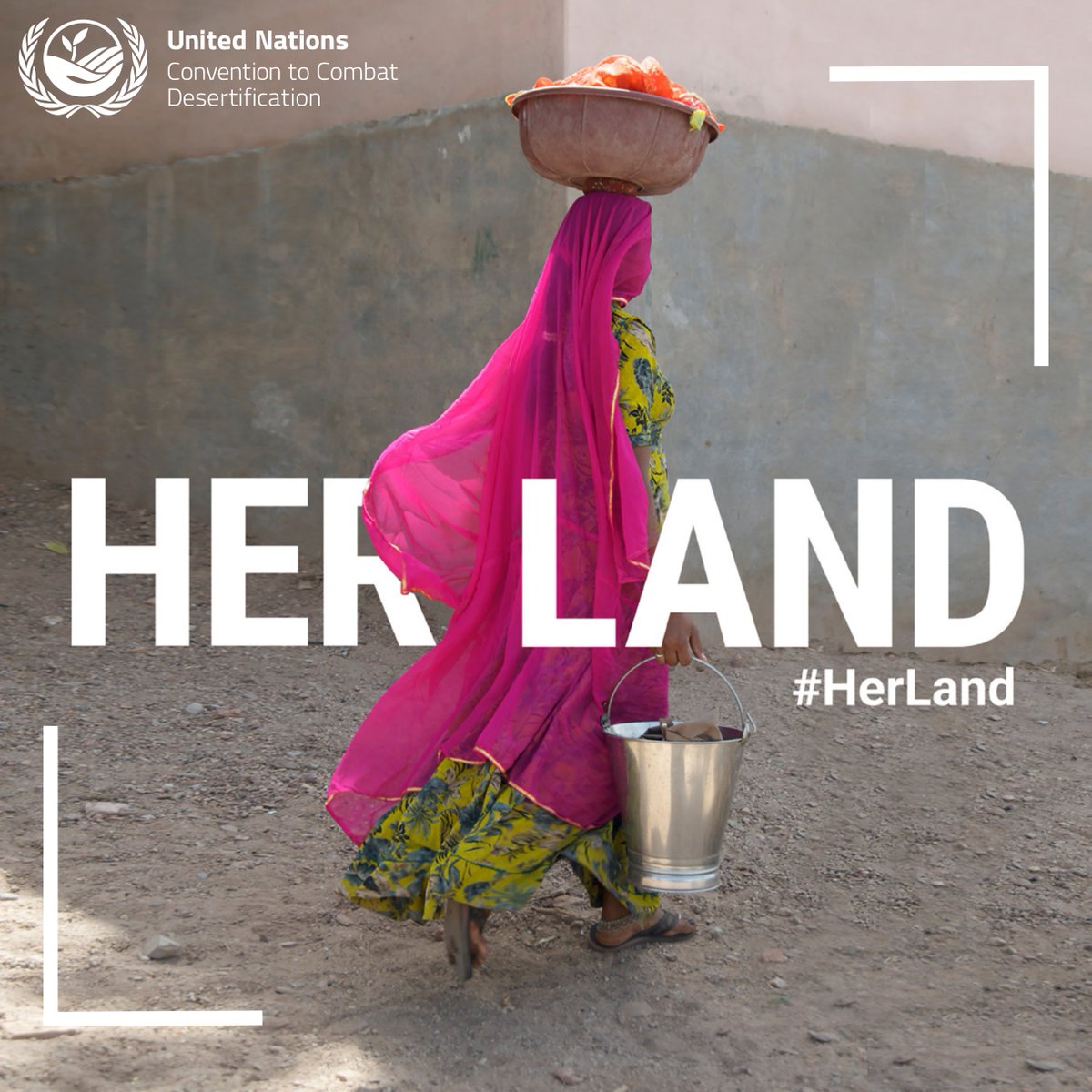 unwomenchief's tweet photo. Desertification, land degradation and drought impact women and girls differently.

Join us today as we discuss advancing gender equality and women’s land rights with @UNCCD.

⏰10AM–1PM EDT
💻 Livestream: https://t.co/v4gDO55LGT

#HerLand #DesertificationandDroughtDay https://t.co/FuMSj6O0pB