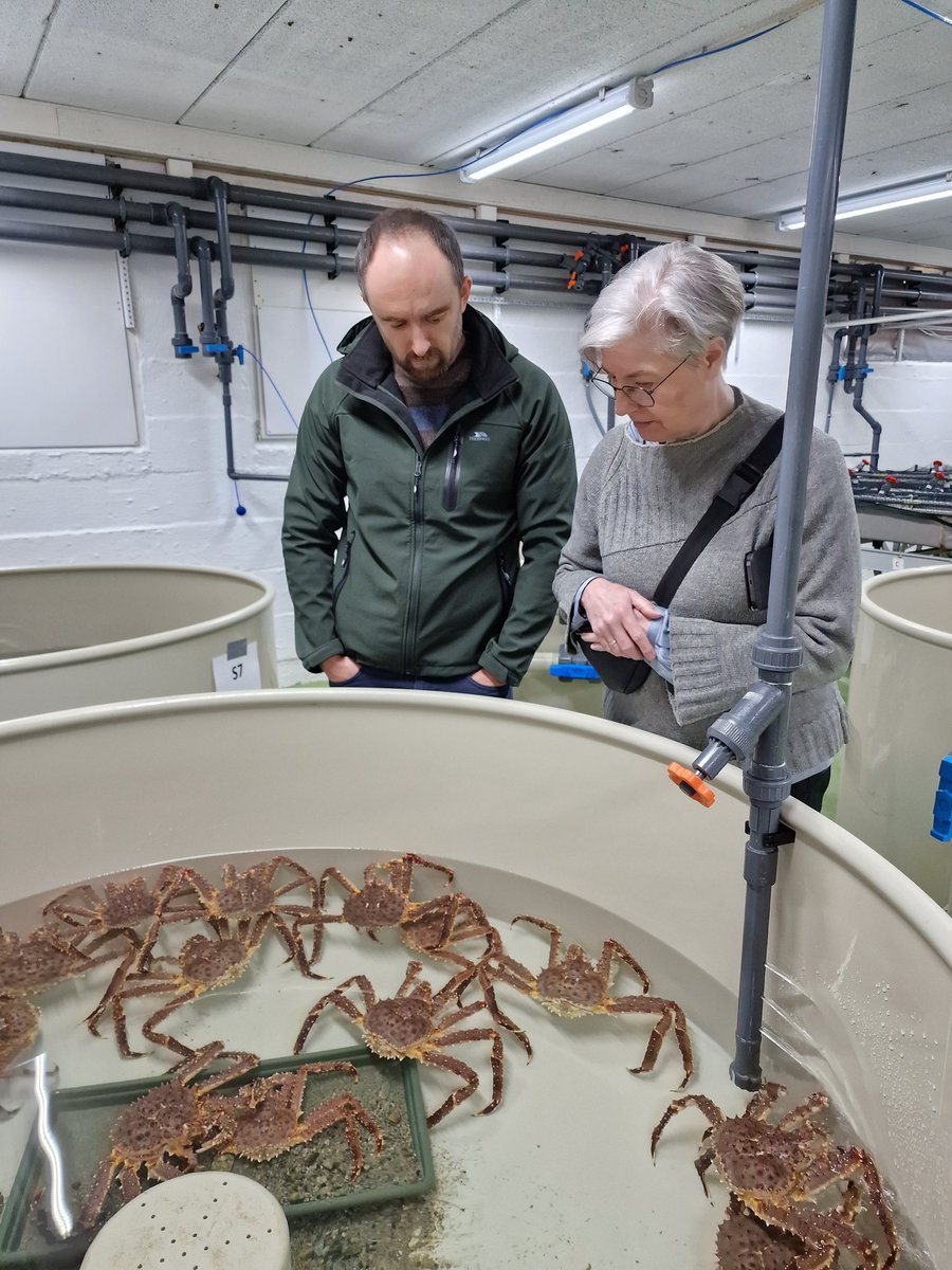 AtaurRahman0302's tweet photo. Good to have @staphylomics (Dr. Tomasz Prajsnar) from Jagiellonian University at Tromsø. It was an incredible few days with zebrafish, visiting different facilities like the Zebrafish facility at UiT,  Tromsø Aquaculture Research Station, food and roaming around. https://t.co/HJc3DAudtS