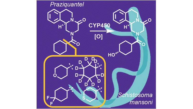 ChemMedChem's tweet photo. Metabolism of (R)-Praziquantel versus the Activation of a Parasite Transient Receptor Potential Melastatin Ion Channel (Marchant, Spangenberg et al.) @MCW_CBNA @MerckHealthcare @ISNTD_Press https://t.co/gNpbWJrFJf https://t.co/M0nGT7sumZ