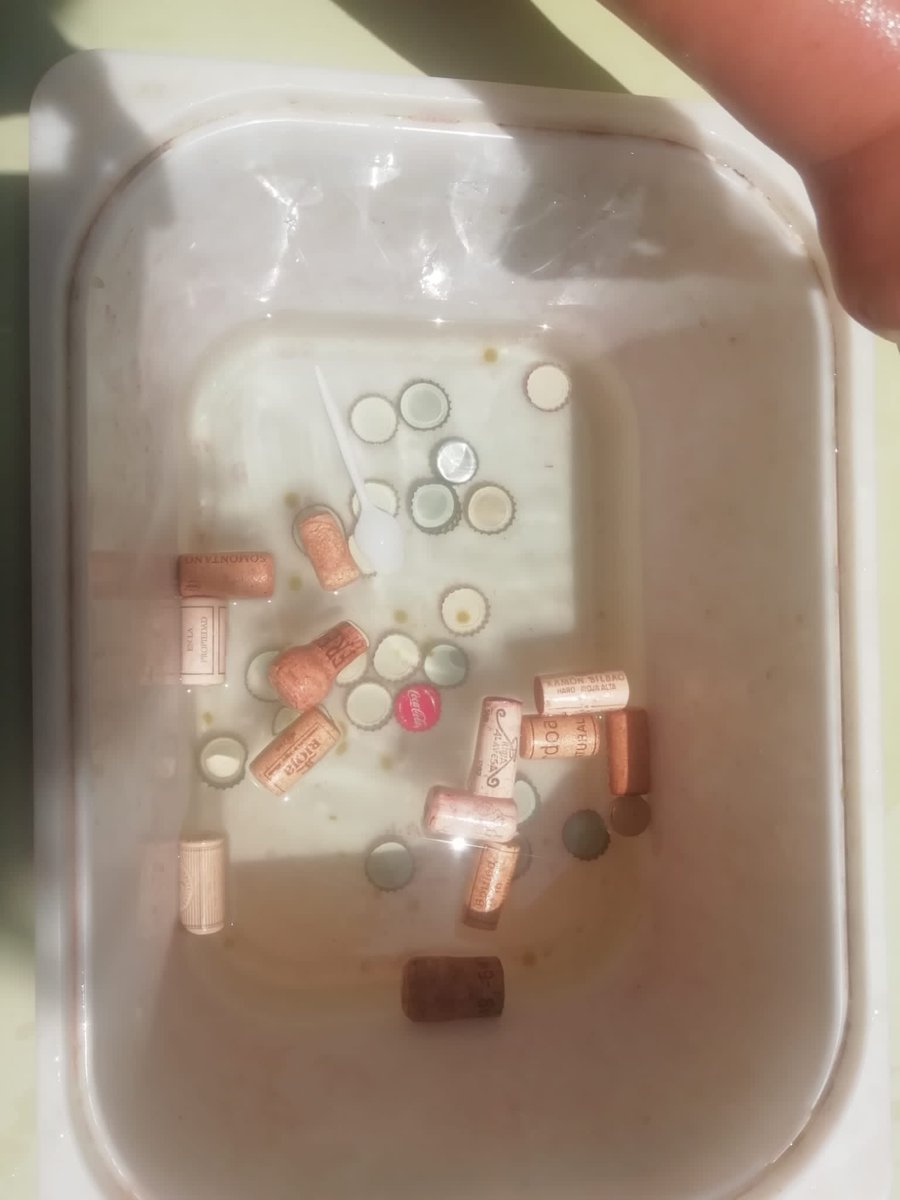 I3 experimenta amb aigua i observem què sura i què no. #SomLaLió