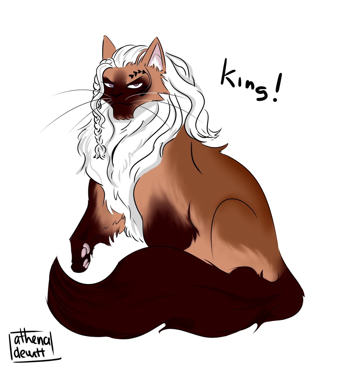 #ONEPIECE 🐱AU
King the Siamese Cat!
