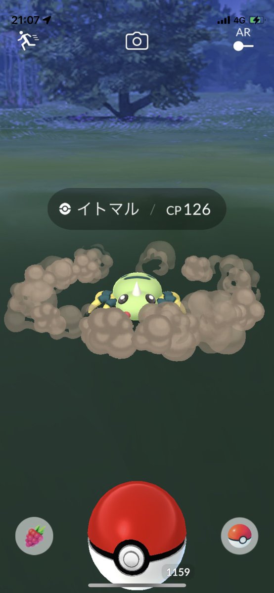 Yuri_FoL's tweet image. 夜間のイトマル出てきたけどみんなどうー!?