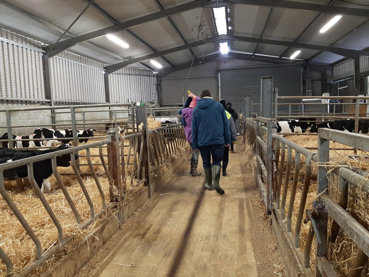 A great snapshot into some #SocialFarming placements in the Southeast! There is so much you can experience out on our social farms !🐮🌱

For social farming, the farm remains a working farm at its core but invites people to participate in the day-to-day activities on the farm!