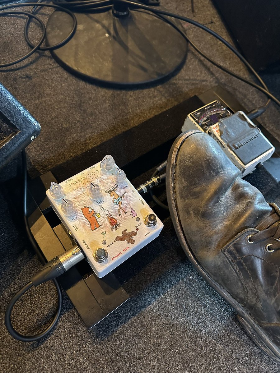 animalspedalusa's tweet photo. Animals Pedal Firewood Acoustic D.I. onstage with @vandoliers doing the work! #animalspedal #acousticpreamp #directbox #vandoliers https://t.co/eBs9rJ8Dgg