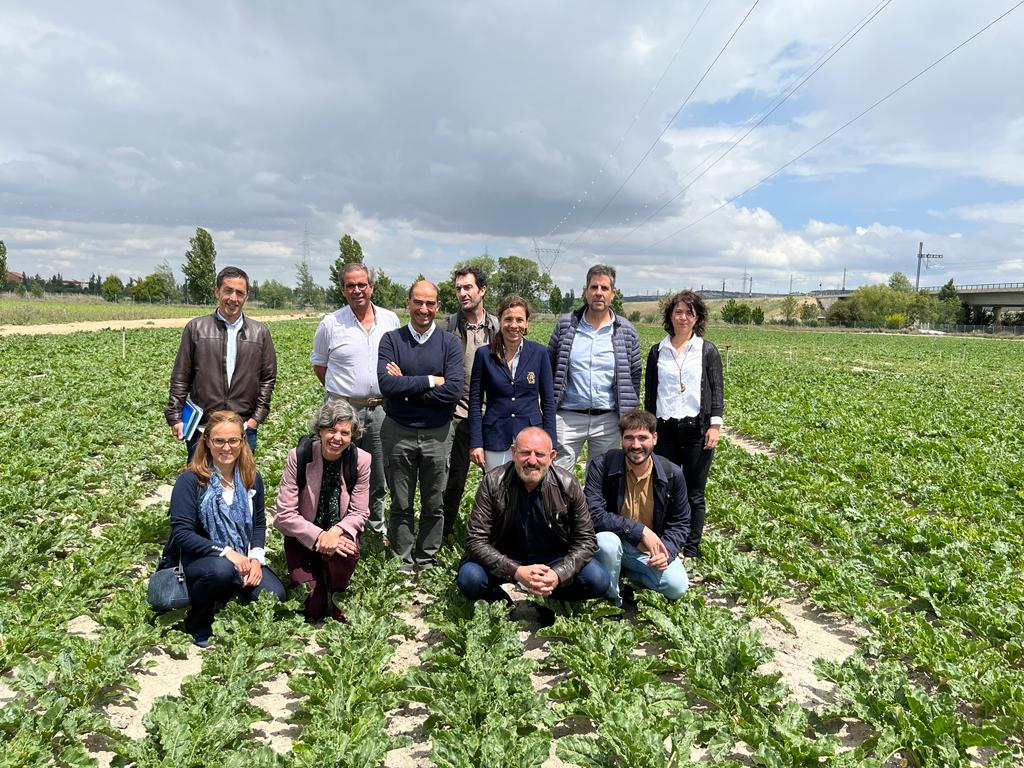 Ocho agricultores entran en la Junta Directiva de <a href="/AIMCRA/">AIMCRA</a>  para abordar necesidades de investigación en remolacha. “El objetivo es conseguir una mayor interacción entre esa investigación y la realidad del campo y, en especial, el cultivo remolachero”, explica Elba Rosique