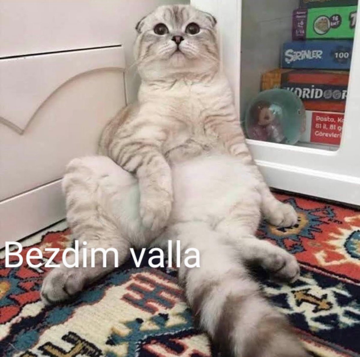 gencaygencay5's tweet photo. #ZamGeldi bezdim valla https://t.co/RvrKY5JpOH