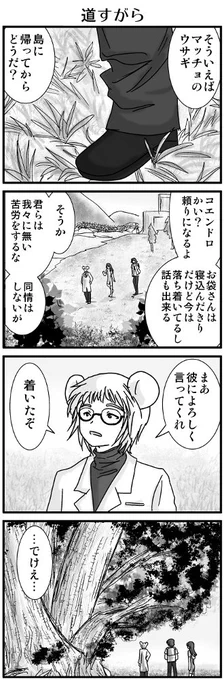 離島医師の母が倒れた事で、本土・葦治から島に移ったコエンドロの事をエー太はずっと気にかけてて 「彼は離島に行ってちゃんとやってる?母親は大丈夫?ネズミ族みたいに短命じゃないから老いの苦労あるよね」という意味の事を実に塩っぽく言う訳です。