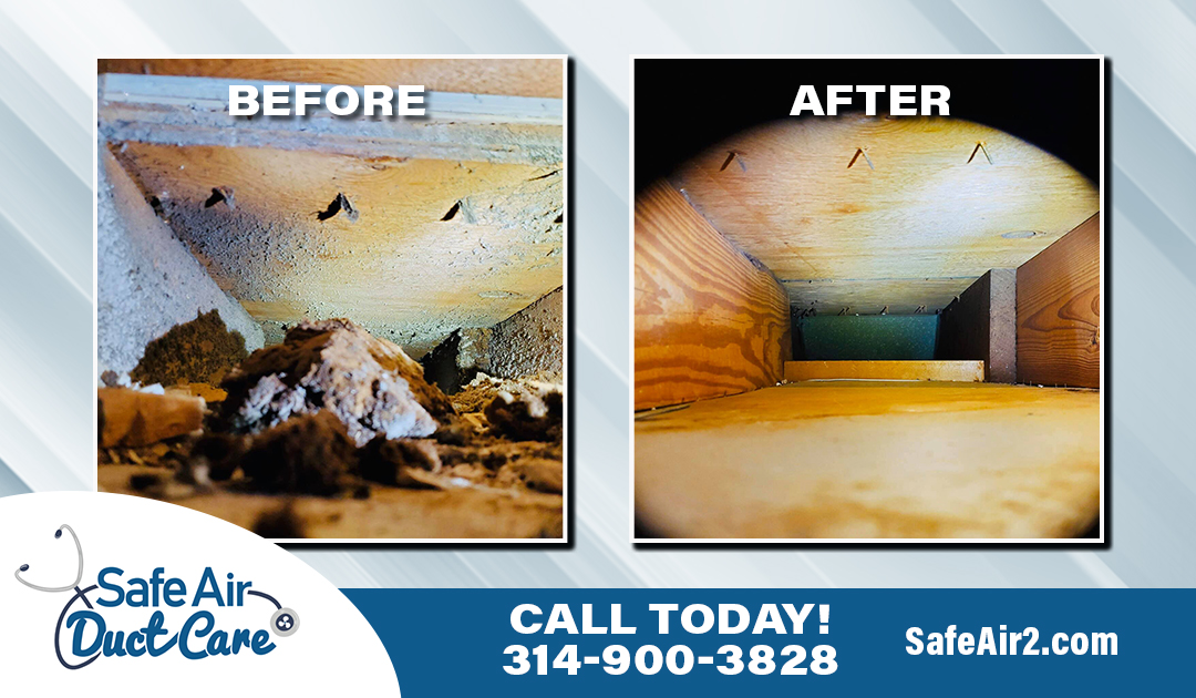 safeairductcare's tweet photo. If it's in your ducts, it may be in your lungs. Call the Air Duct cleaners you can trust today so you can breathe easy tomorrow! (314) 900-3828 #SafeAir #AirDuctCleaning #Cleanair #DuctCleaning #SafeHome #Airduct #stl https://t.co/LhcZQXZH2v https://t.co/FHWrz065uQ