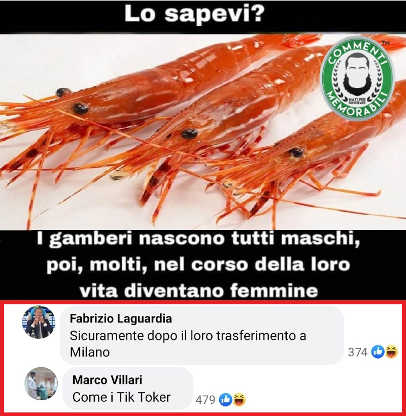 CM_Memorabili's tweet photo. "Ehilà Gamberone!" [Cit.]
#commentimemorabili #similitudini #gamberi https://t.co/tn17OiRX5U