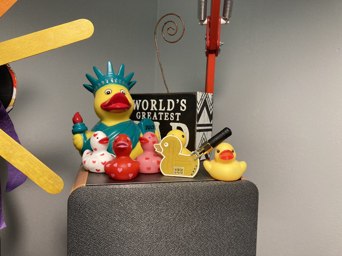 dmissp's tweet photo. @c0ldbru #duckbutt wanted to pose with the #familyducks. :) https://t.co/G9O2QYwXwz