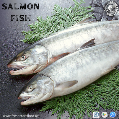 freshstartfood1's tweet image. Dive into a world of succulent delights with this mouthwatering salmon fish. Every bite is a tantalizing journey of flavors and textures from the ocean to the plate! #freshstartfood #fish #uae #dubai #homedelivery #orderviapp #ordernow #freshseafood