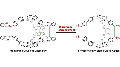 Combining Imine Condensation Chemistry with [3,3] Diaza-Cope Rearrangement for One-Step Formation of Hydrolytically Stable Chiral Architectures <a href="/ZontaCristiano/">Cristiano Zonta</a> <a href="/FedericoBegato/">FEDERICO BEGATO</a> <a href="/RobertoPenasa/">Roberto Penasa</a> <a href="/GiuliaLicini1/">Giulia Licini</a> @DiSC_UniPD #openaccess onlinelibrary.wiley.com/doi/10.1002/an…