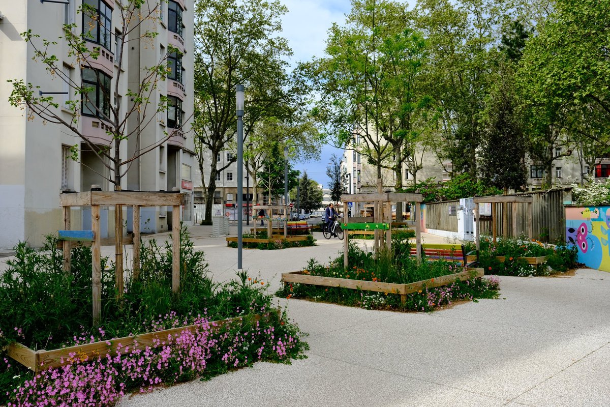 Bruno Bernard tweet media