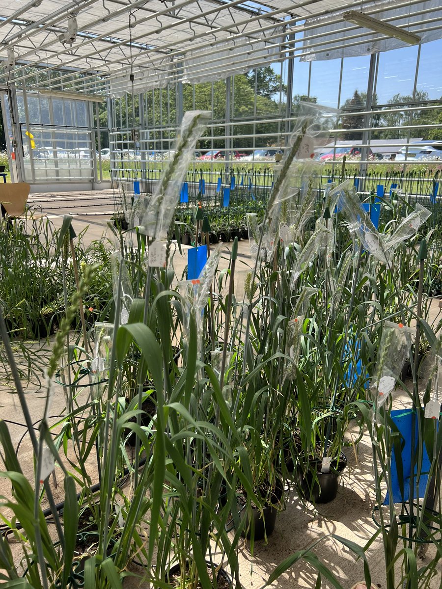 Stella Edwards tweet media