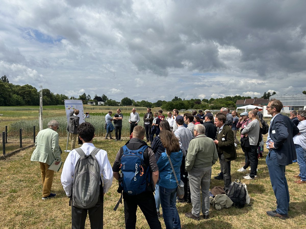 Field day at the 100-year long term experiment at Berlin-dahlem in Germany - here we listen to how climate variability has affected the performance of crops and sequences