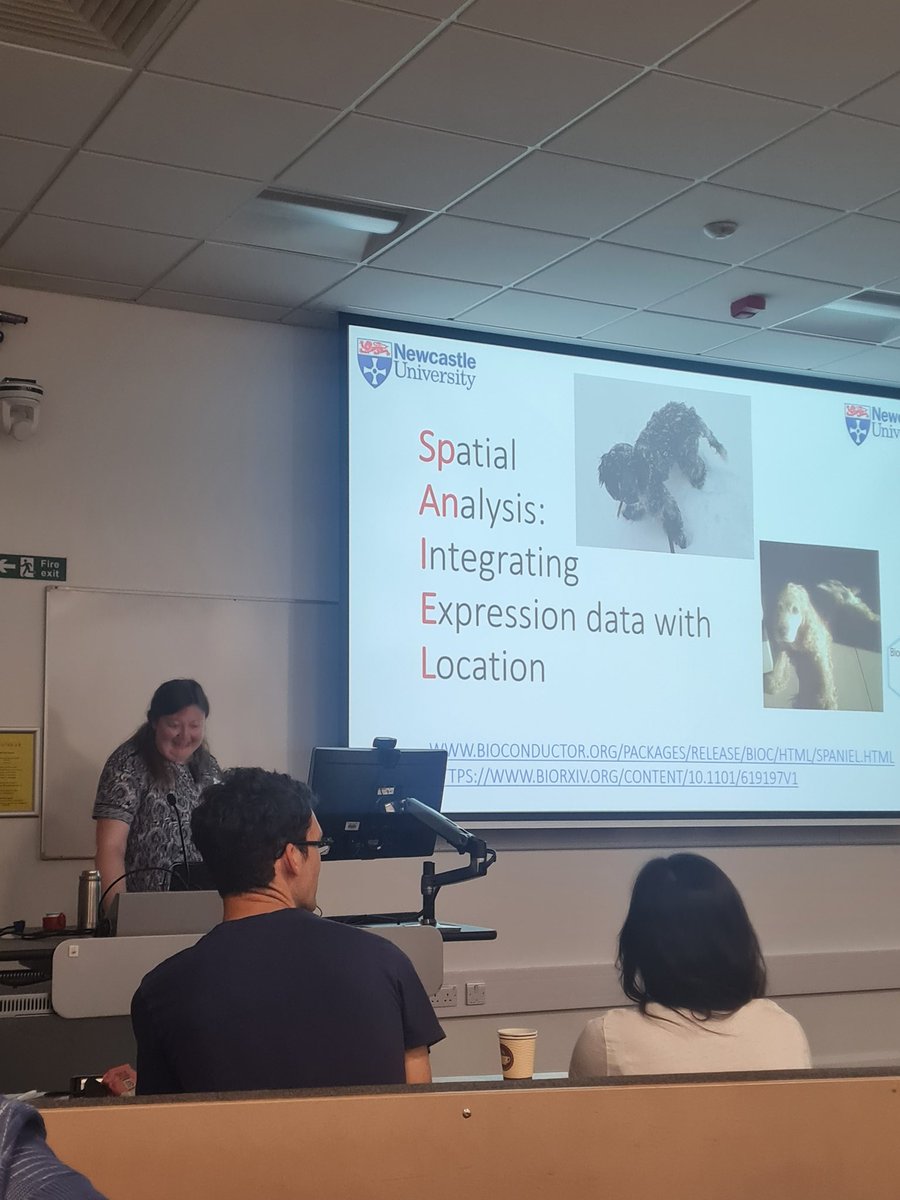 Merging dog breeds with bioinformatics analysis - my kind of anagram for a package name 😁😁😁 great talk on single cell analysis by rachel queen from Newcastle uni