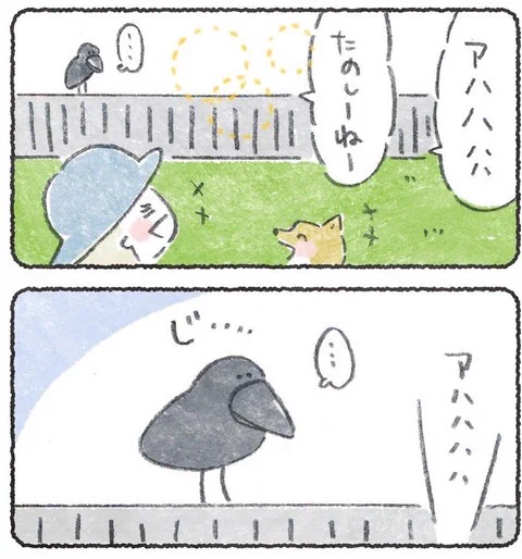 大事件!カラスが犬のおやつ狙ってる!!!

よむ!https://t.co/9CrzERChb9 