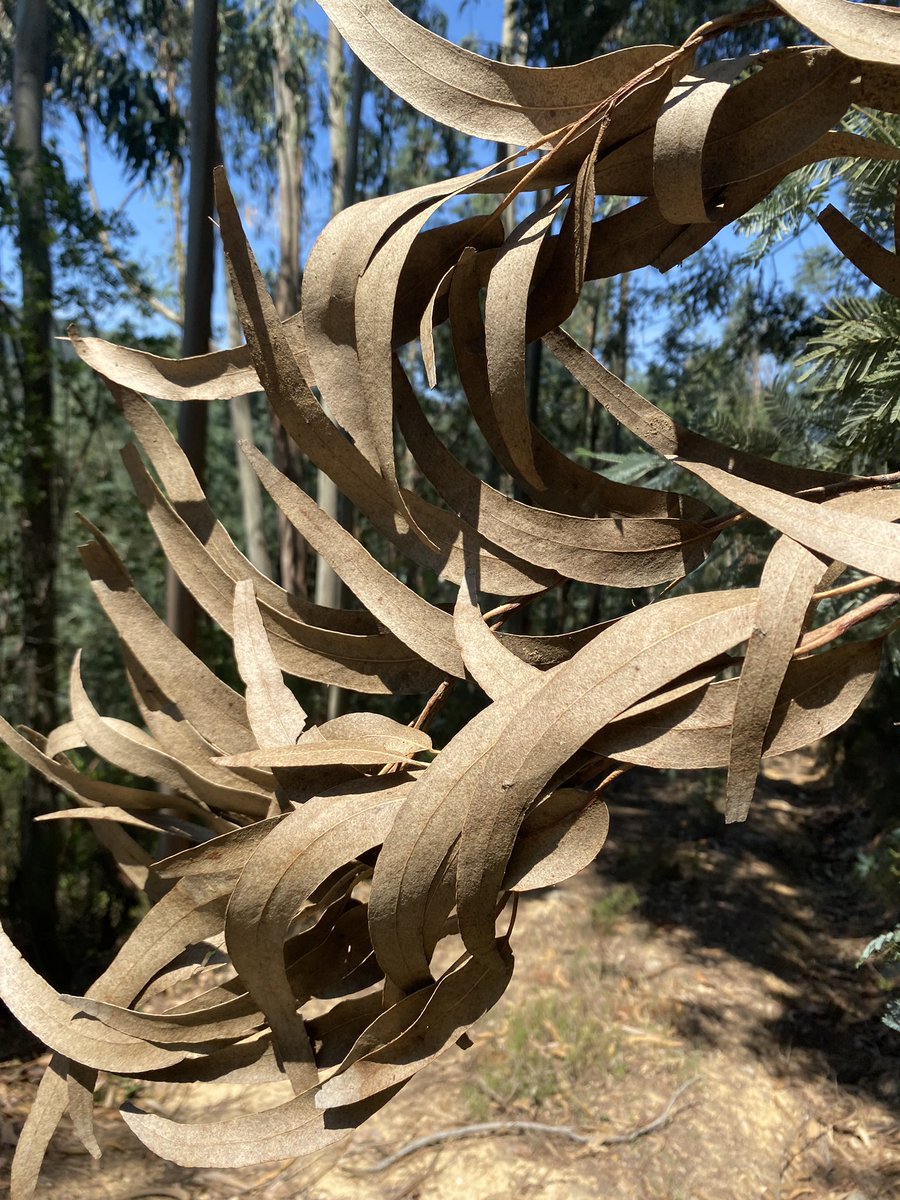 Sara Maino tweet media