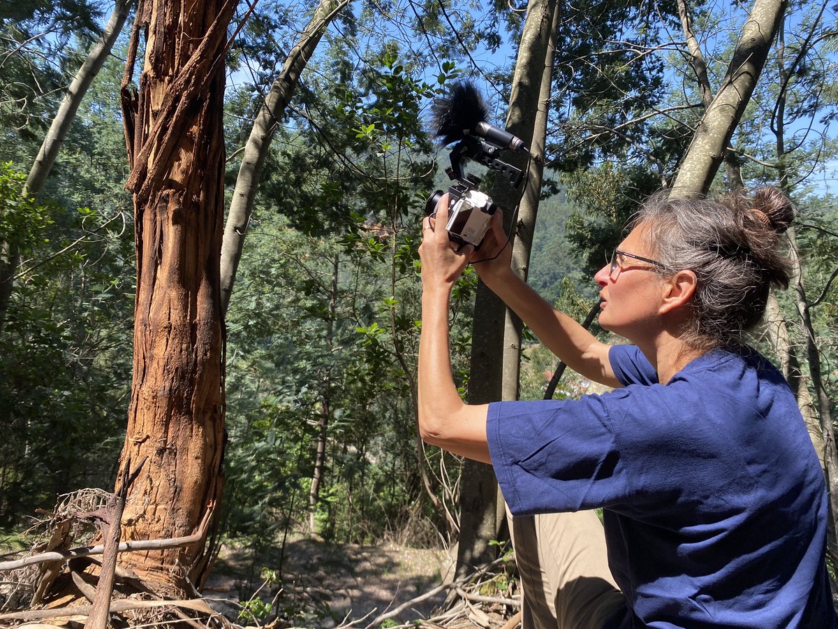 Sara Maino tweet media