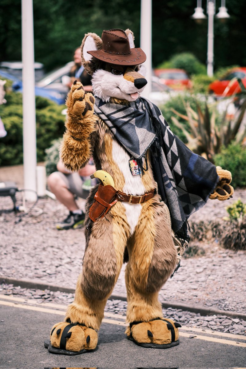 It's a bit warm for a poncho, but you gotta look the part! #FursuitFriday 

📷 @BrandyTheWuff 
📍 #CFz2023