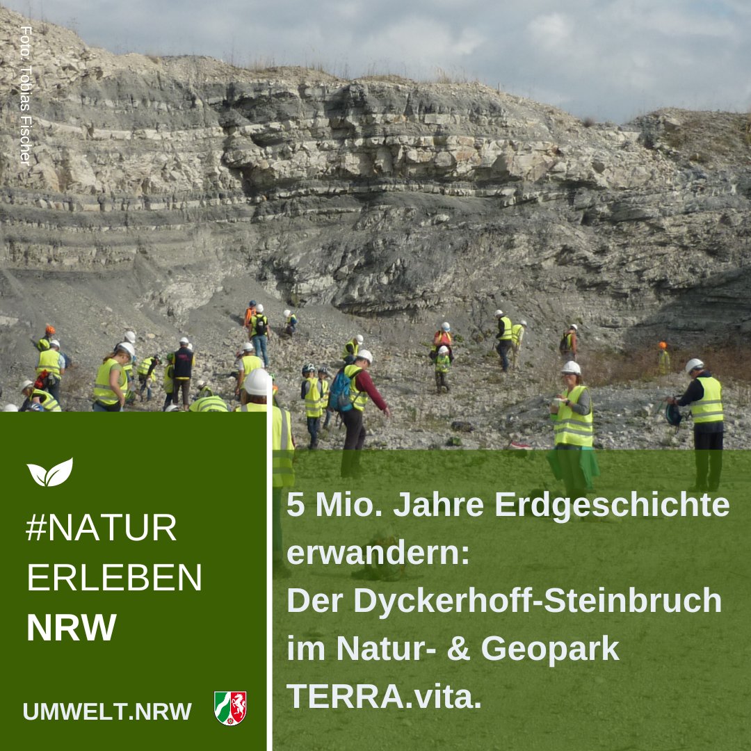 UmweltNRW's tweet photo. Der Natur- & Geopark TERRA.vita kombiniert unverwechselbares #NaturErlebenNRW mit insgesamt 300 Mio. Jahren Erd- & 10.000 Jahren Siedlungsgeschichte.
Ein geotouristisches Highlight ist der #Dyckerhoff-#Steinbruch, in dem es sogar #Fossilien gibt🪨🐚
ℹ👉https://t.co/B93Cb6YXhO https://t.co/6vRm26Cr3l