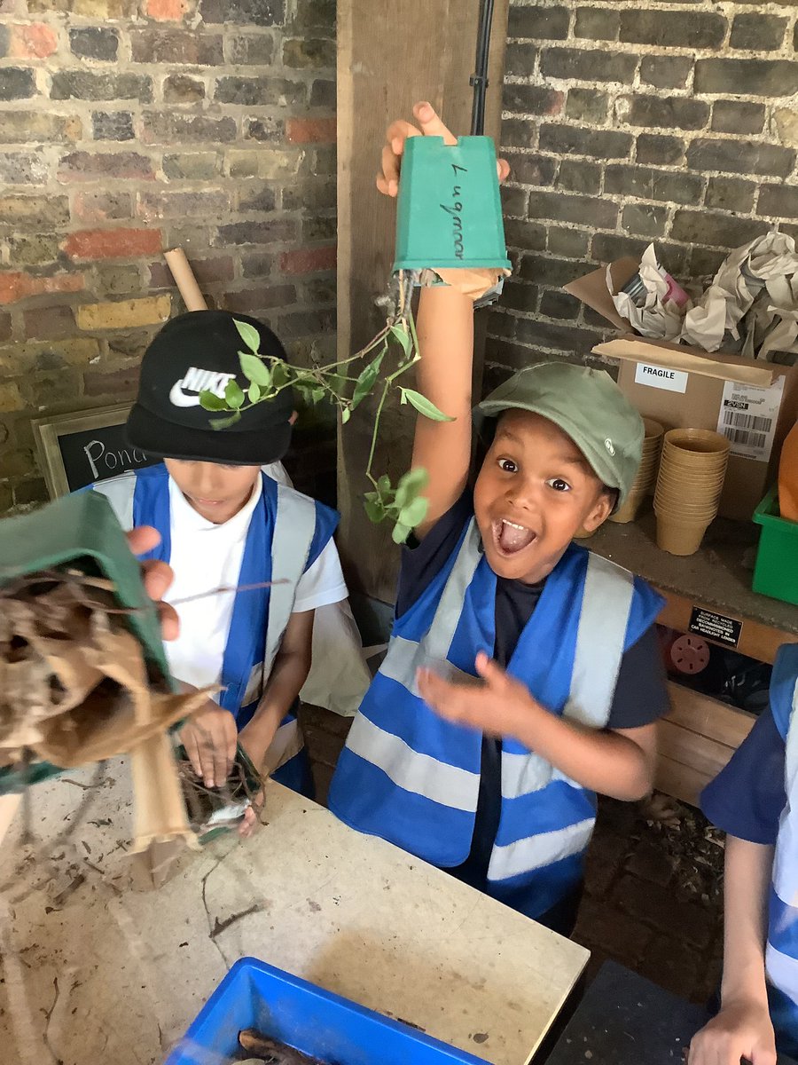 Y2@fircroft.family tweet media