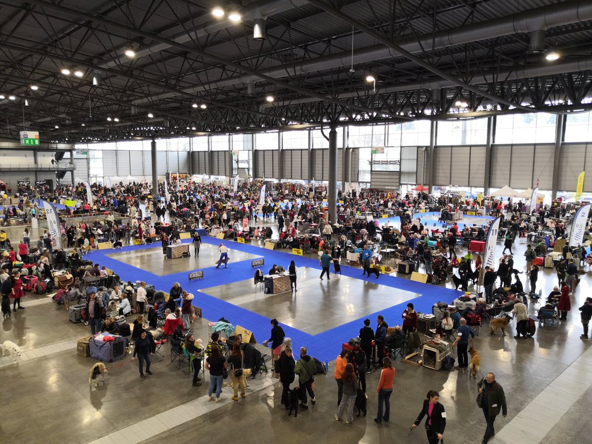 Příští týden se pavilonem P opět rozezní psí štěkot. Těšíme se na vás na výstavě INTERCANIS. Praktické informace naleznete na bvv.cz/vystavy-psu/in….

#bvv #brno #intercanis