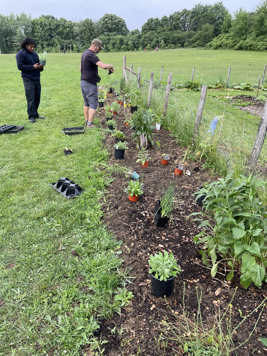 GuelphVillage's tweet photo. 101 pollinators, not incl all the sunflower seeds, ready for planting this morning @stpetersaints #Coop #Garden thank you supporters &amp; volunteers  @grandriverca @PollinateGuelph @WellingtonCath #Commit2Act #FoodAccess #FoodSecurity #Guelph https://t.co/tEcXDUlmHr