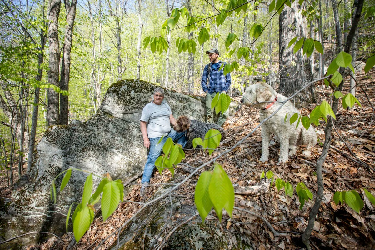 Ken Wille partnered with Mahoosuc Land Trust & Northeast Wilderness Trust to protect 200 acres, part of the larger Flint Mountain Wildlands in #Maine.
.
Read more from the Sun Journal here: sunjournal.com/2023/06/14/for… 
.
#wilderness #wildlands #rewilding #foreverwild