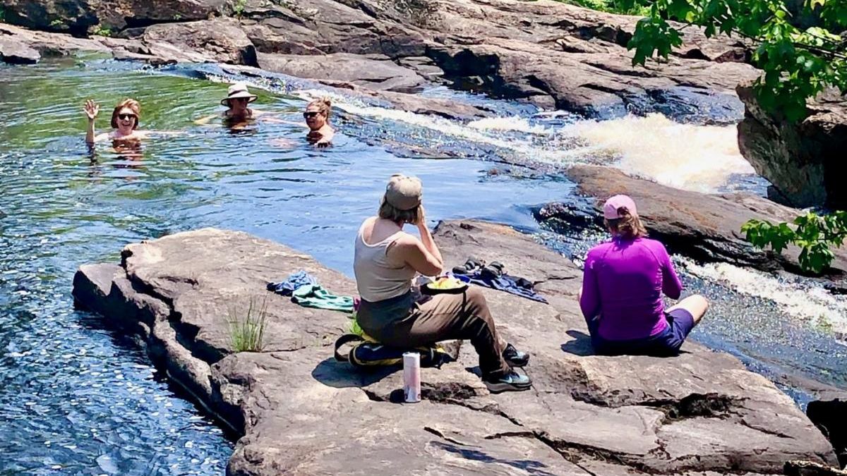 💥The Weekend💥 is here and so is the ToDoOntario weekly e-newsletter. It is filled with things 'To Do' from the Ontario tourism industry.  It is just what you need to plan some fun! Read it here 👉 conta.cc/3CygIPD
📸 Algonquin Park South Gate