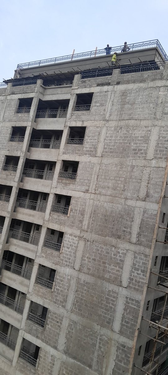 Kwani hawa mamorio hawaogopi