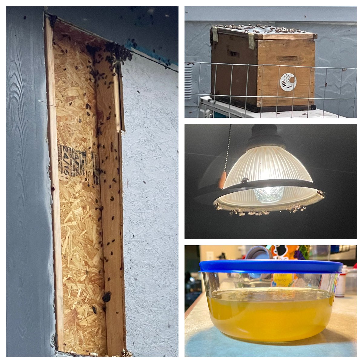 Sometimes I just want stuff to be normal at my house. He’ll be back today. That’s approx 2c of raw honey from “Katie’s Honey House.” 🐝😐