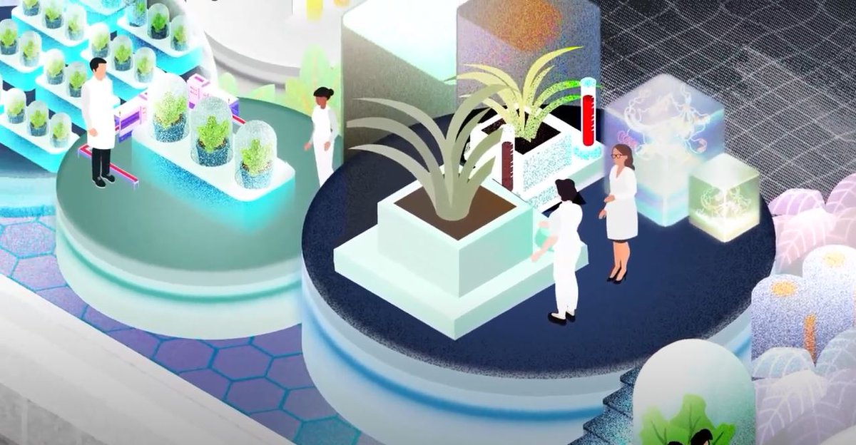 Are you curious about what the vision of DECADES is? 
Have a look at the great animation which our partner @BUMBUKU has developed with DECADES to visualize the idea behind and what will keep us busy in the next 3.5 years.

#vision #REA #MSCA #Celebrate
youtu.be/u9lMxdLW8fc