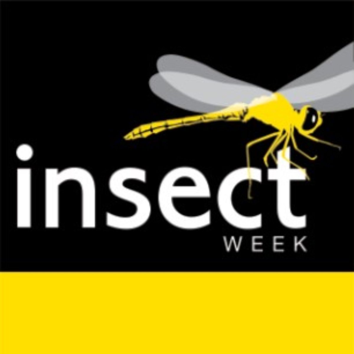 Insect week is coming! (19th- 25th June).

Insects are the little things that run the world! Find out more here - insectweek.org

#InsectWeek2023 @RoylEntSoc @insectweek