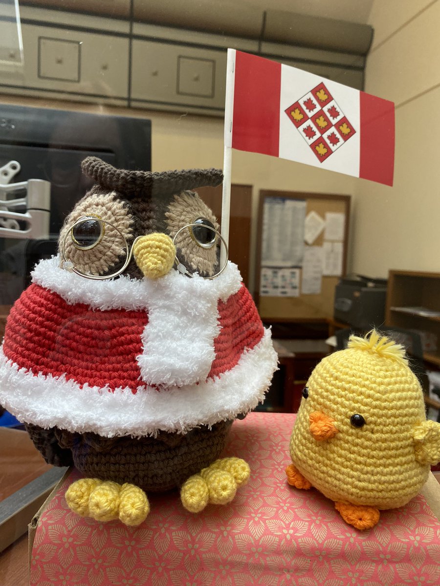 An employee in the Supreme Court of Canada library made a #crochet 🧶 stuffy of Amicus, the court’s official mascot, and a friendly wise owl. This may appeal most to the #knitting contingent of #cdnlaw and #droitcdn