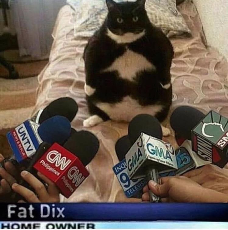 It’s been a while. How’re the lads doin