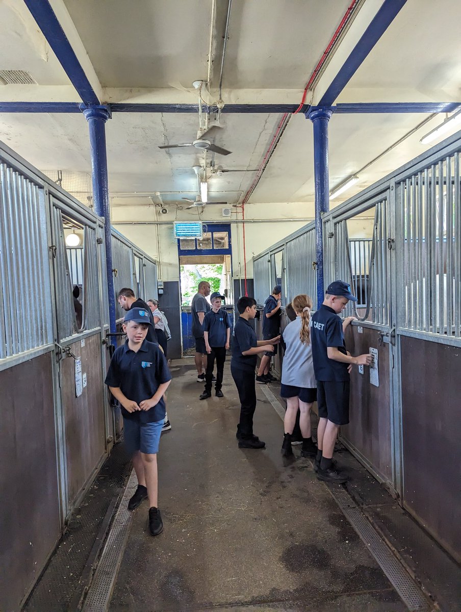 Merton VPC (@mertonvpc) on Twitter photo "This is the best day of my life" said one of the Cadets from <a href="/cricketgreensch/">Cricket Green School</a> when we visited the Police Horses today #makesitallworthwhile <a href="/MPSMerton/">Merton Police</a> "This is the best day of my life" said one of the Cadets from <a href="/cricketgreensch/">Cricket Green School</a> when we visited the Police Horses today #makesitallworthwhile <a href="/MPSMerton/">Merton Police</a>