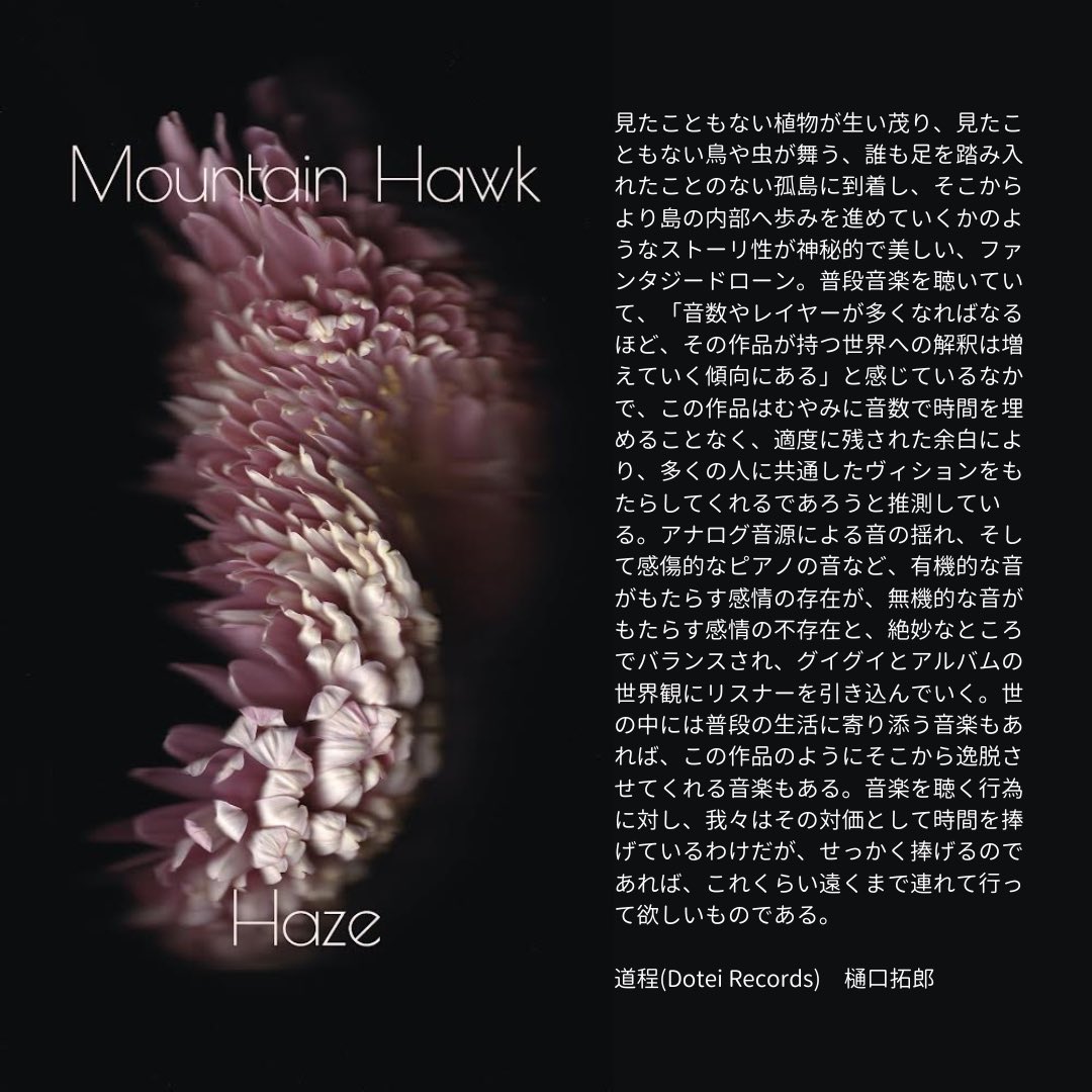 Mountain Hawk tweet media