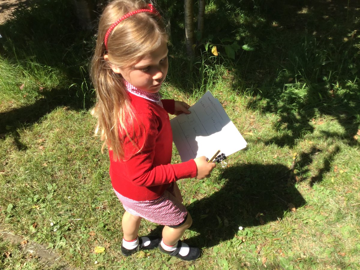 Primary 2H tweet media