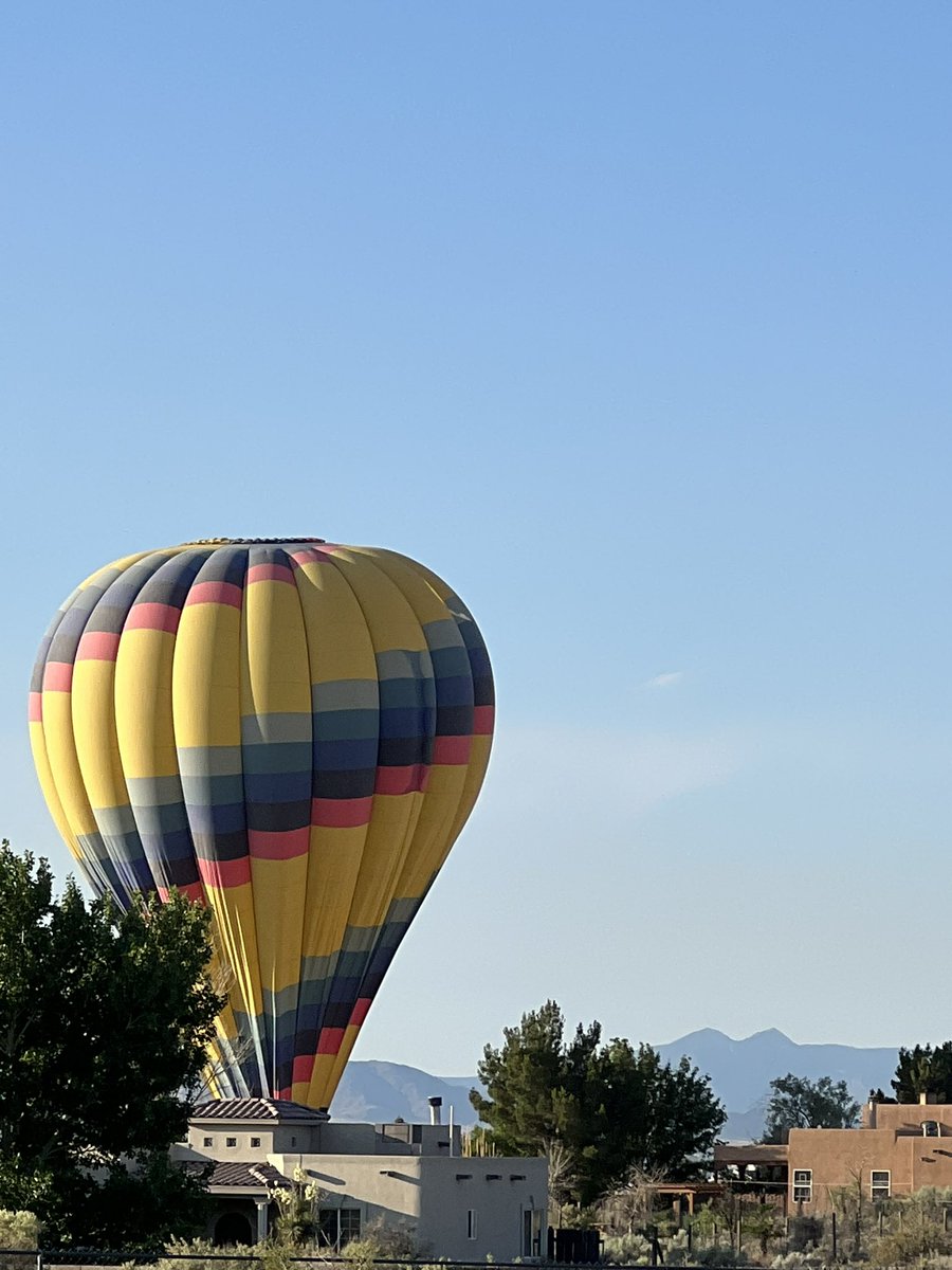 Hannah Mainolfa tweet media